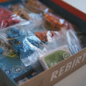 Rebirth